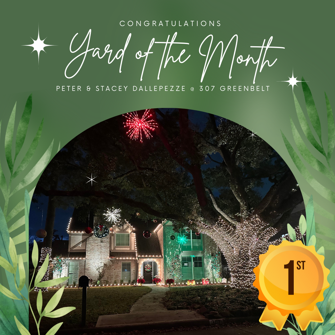 2024 Holiday Yard of the Month - DallePezze 2024 Holiday Yard of the Month - DallePezze