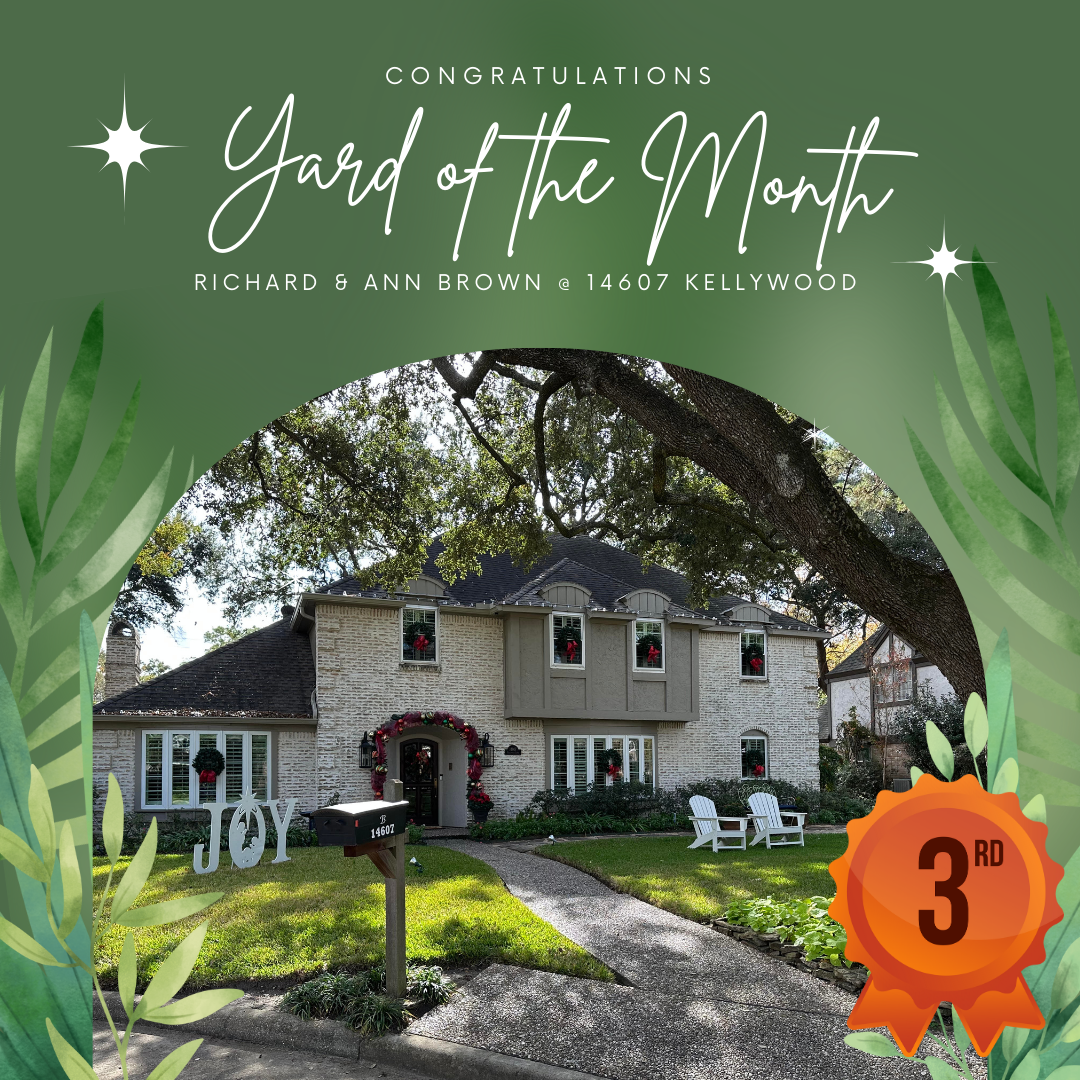 2024 Holiday Yard of the Month - Brown 2024 Holiday Yard of the Month - Brown