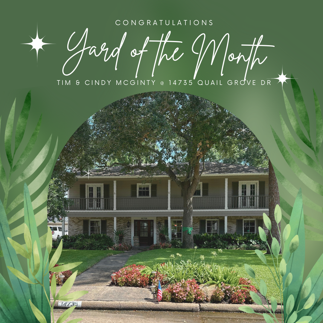 Yard of the Month (11)