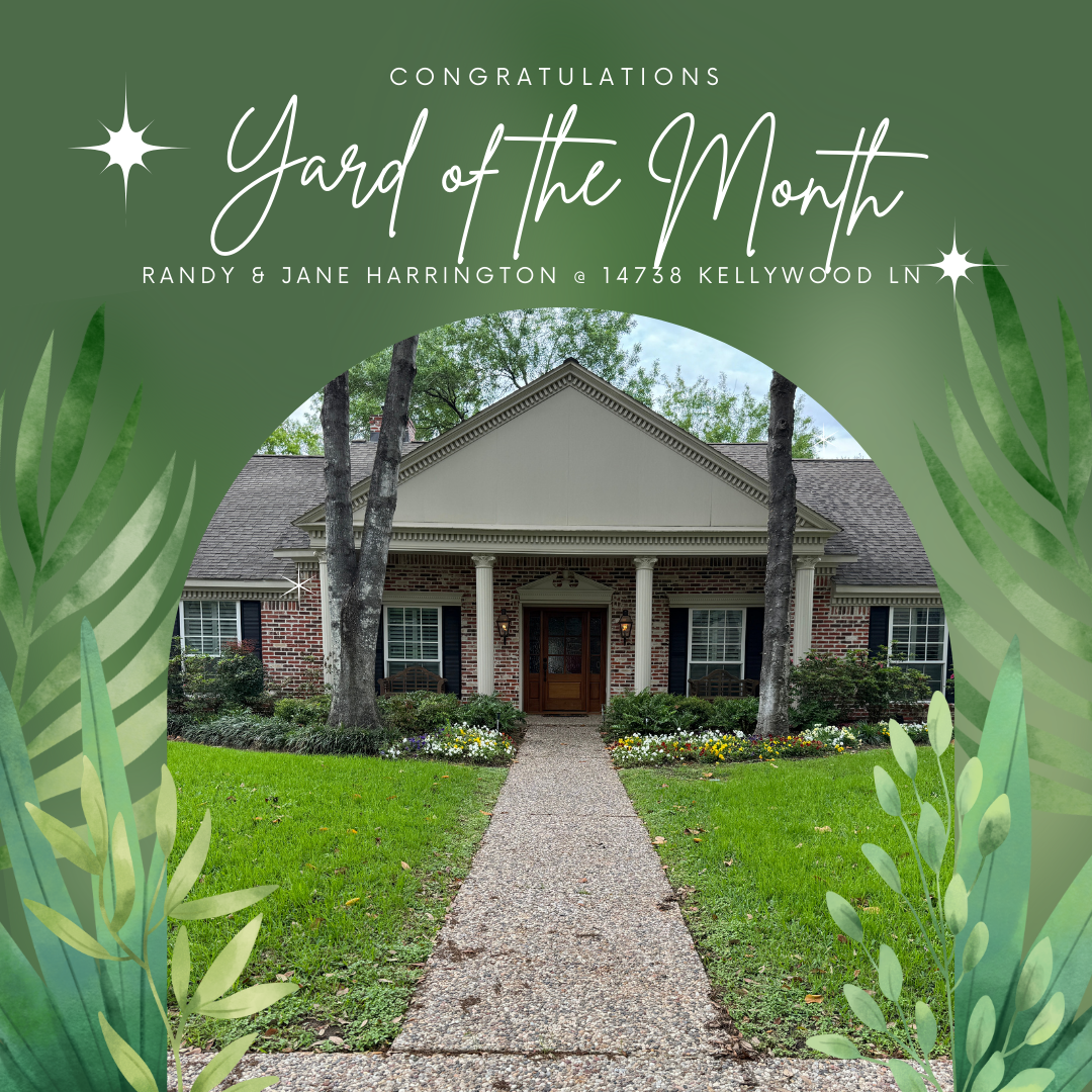 Yard of the Month (3)